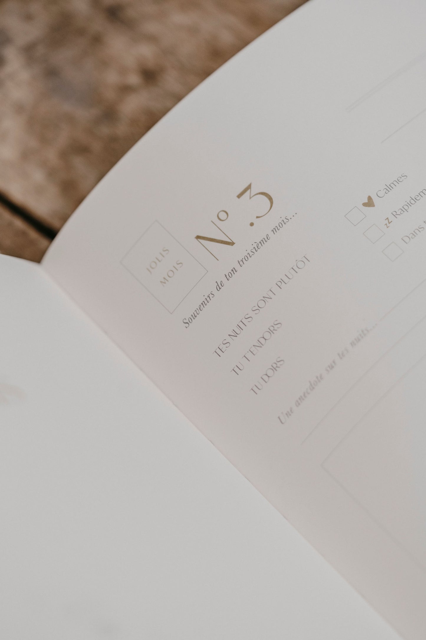 Livre de naissance Bulle de Hochet