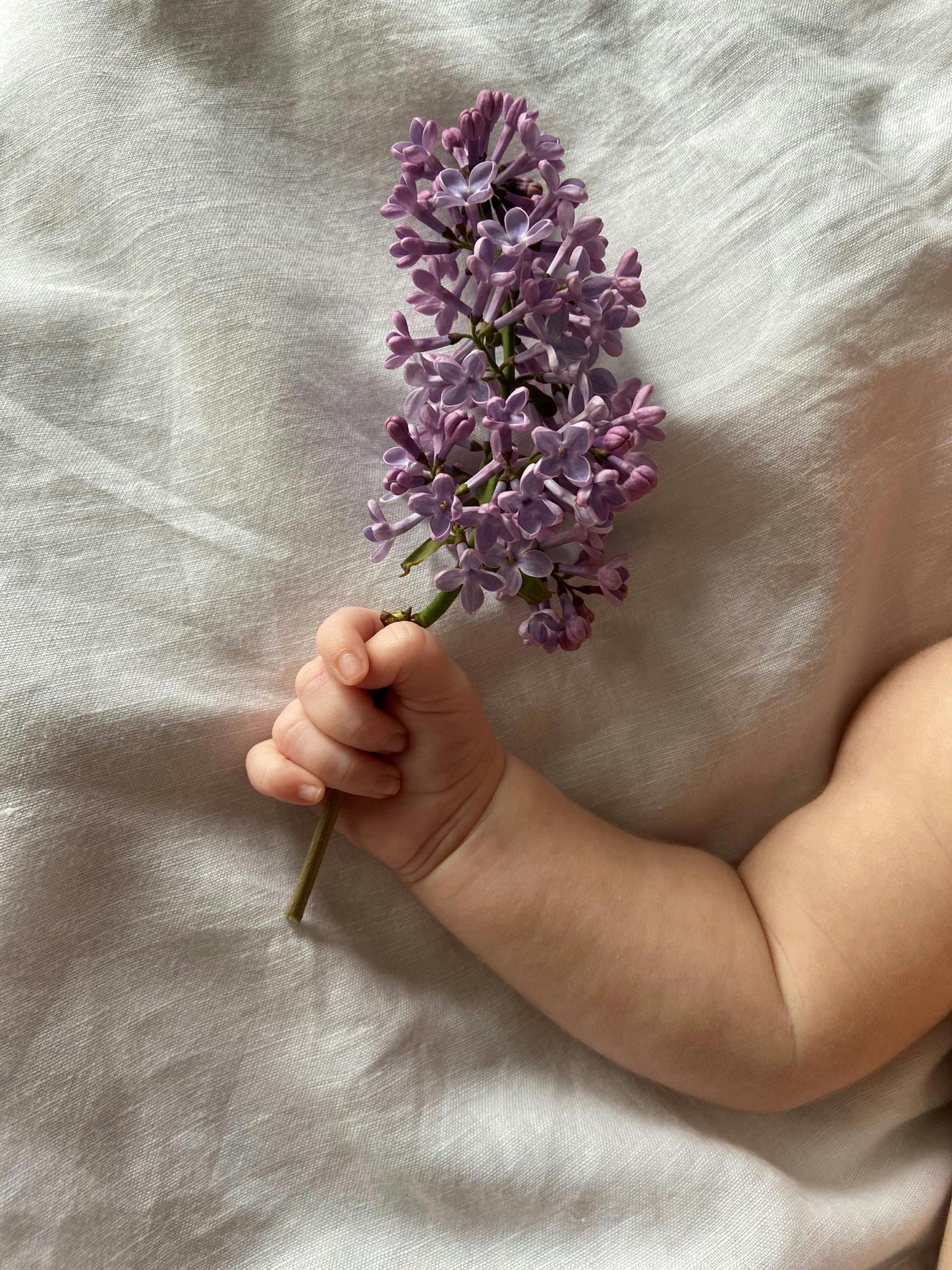Atelier "Parents & Ecologie" : offrez un cadeau engagé et utile aux parents, à bébé et à la planète
