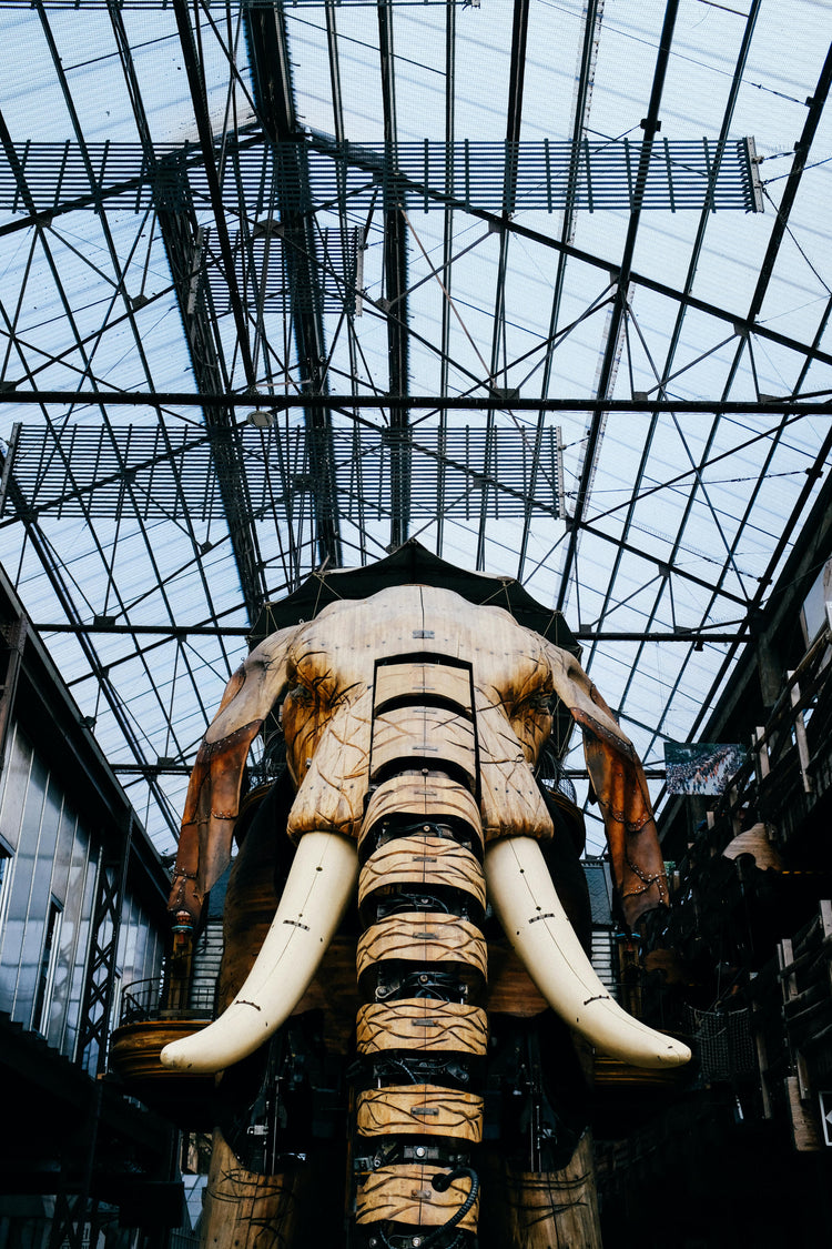 Cadeau de naissance Nantes